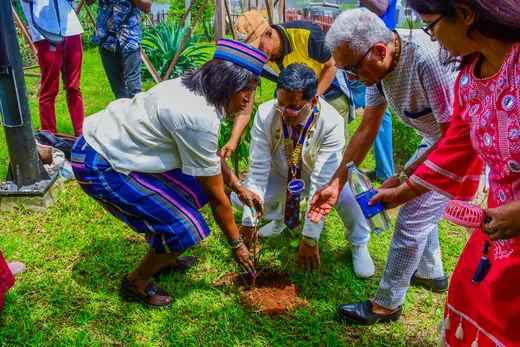 A group of members crouched together over the grass, planting side by side.